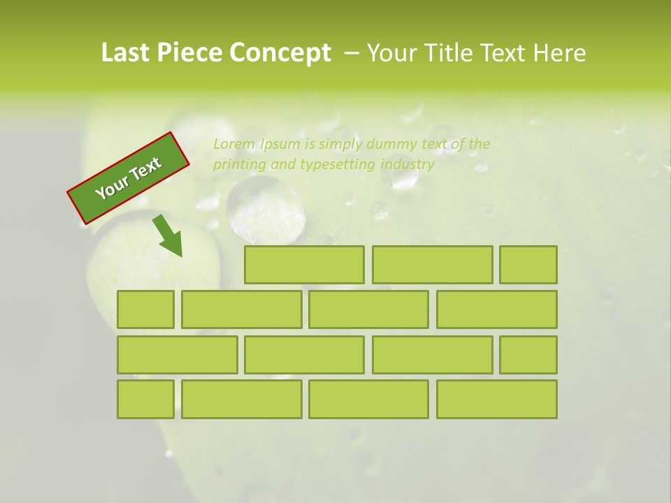 Drops On A Leaf PowerPoint Template