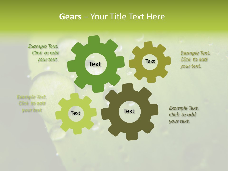 Drops On A Leaf PowerPoint Template