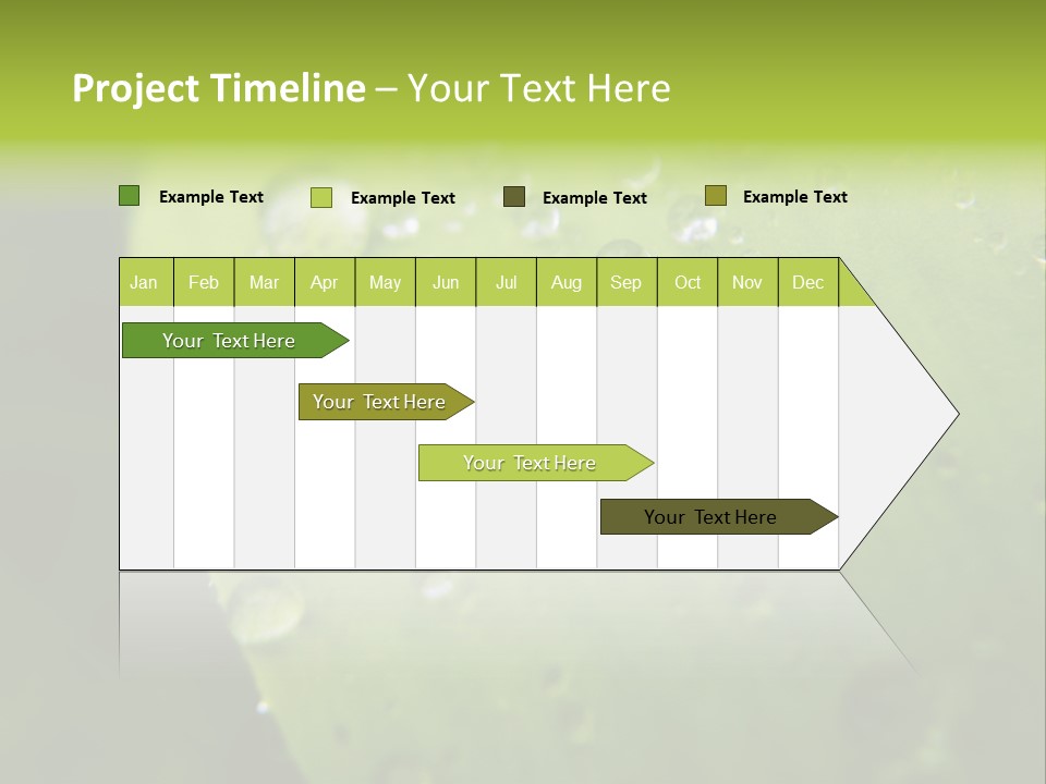 Drops On A Leaf PowerPoint Template
