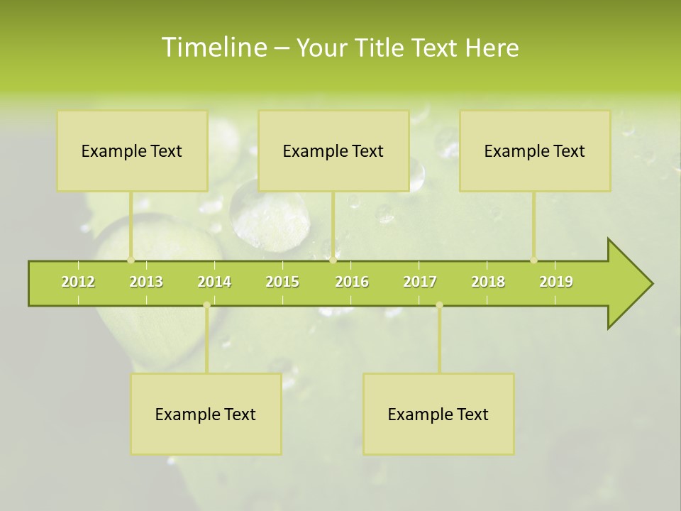 Drops On A Leaf PowerPoint Template