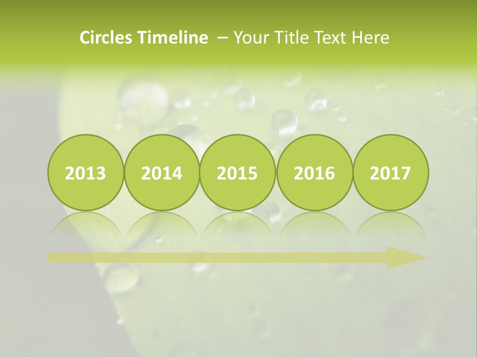 Drops On A Leaf PowerPoint Template