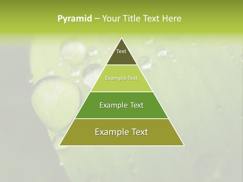 Drops On A Leaf PowerPoint Template