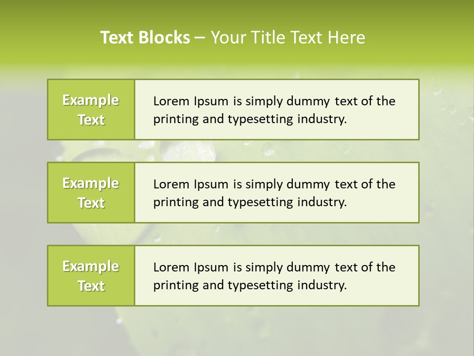 Drops On A Leaf PowerPoint Template