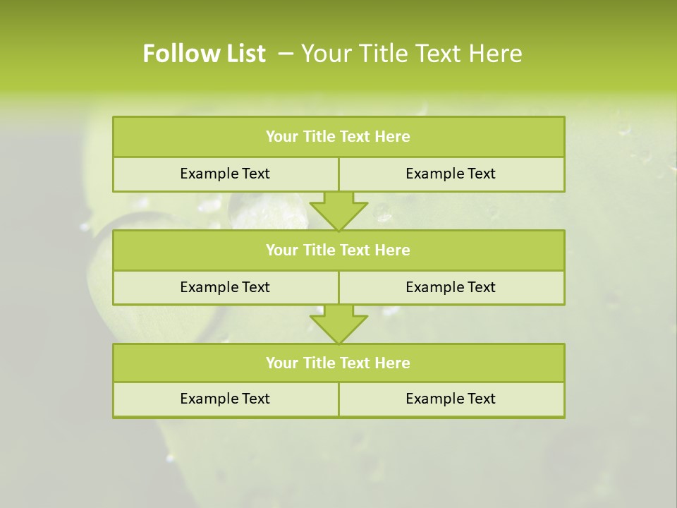 Drops On A Leaf PowerPoint Template