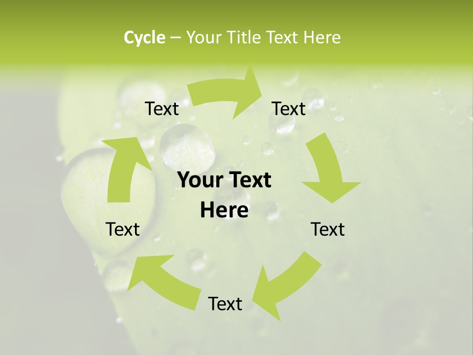 Drops On A Leaf PowerPoint Template