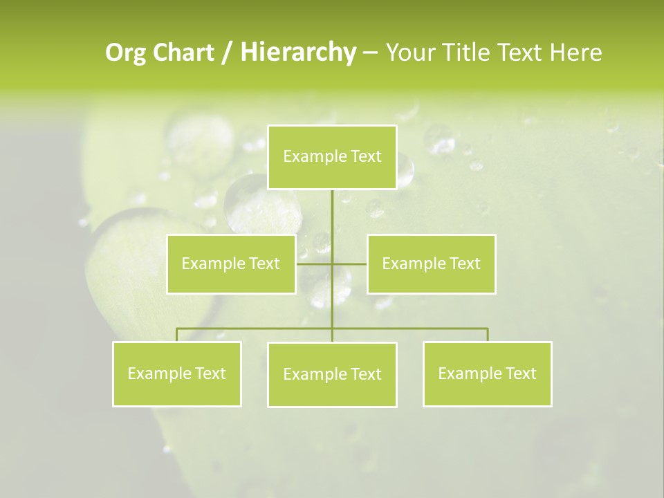 Drops On A Leaf PowerPoint Template