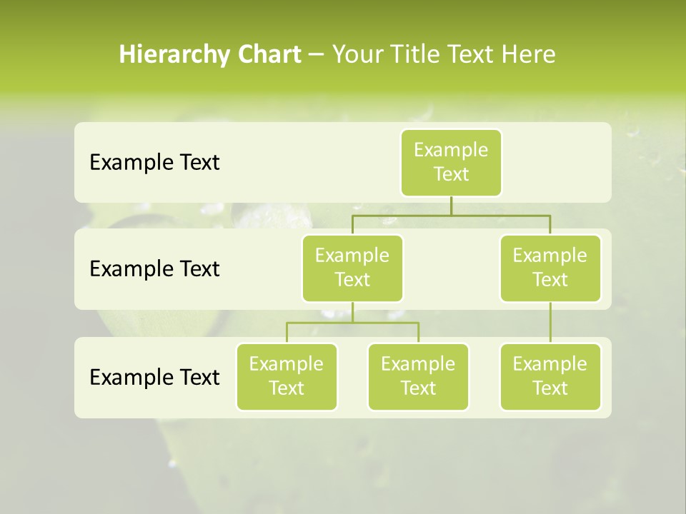 Drops On A Leaf PowerPoint Template