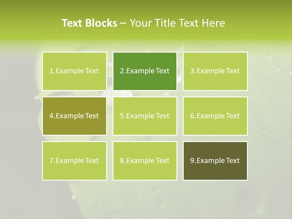 Drops On A Leaf PowerPoint Template