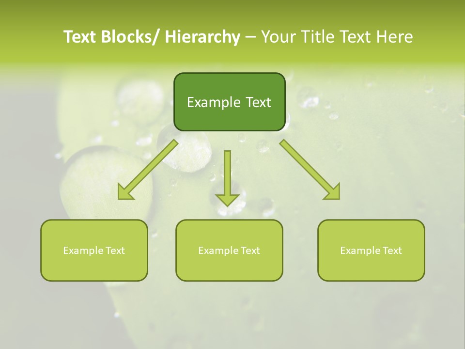 Drops On A Leaf PowerPoint Template