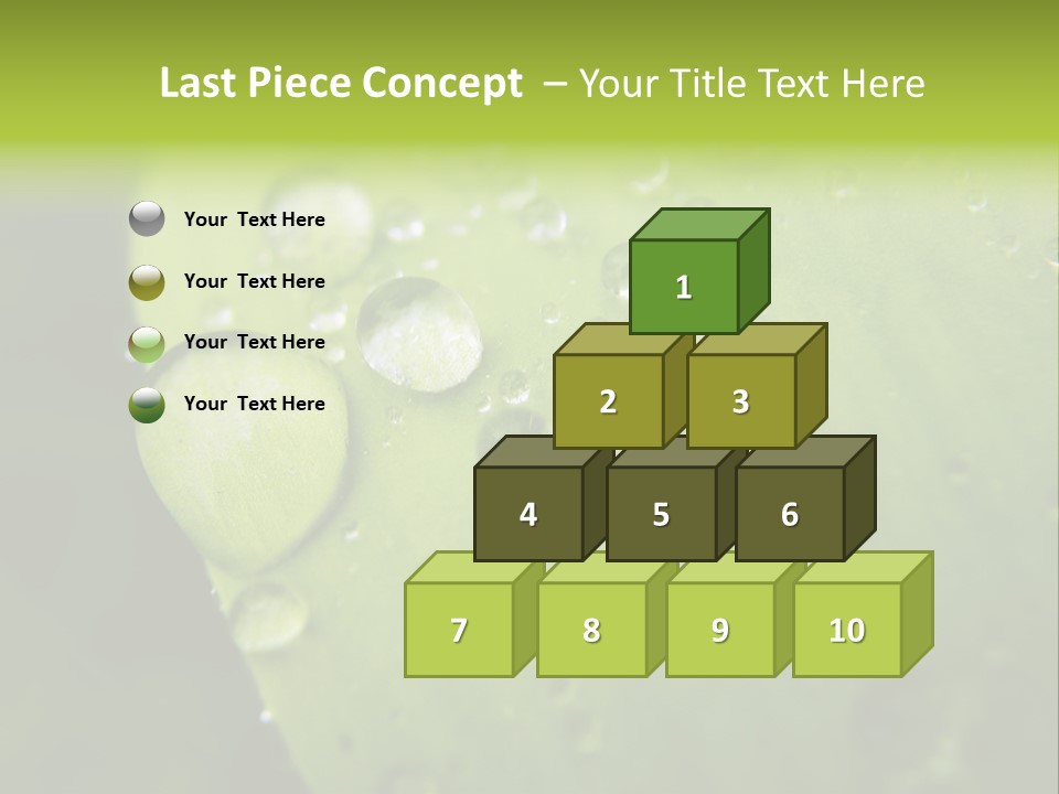 Drops On A Leaf PowerPoint Template