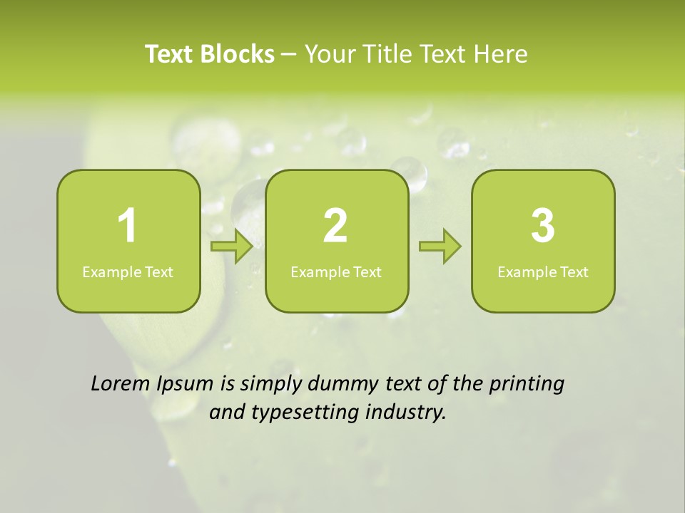 Drops On A Leaf PowerPoint Template