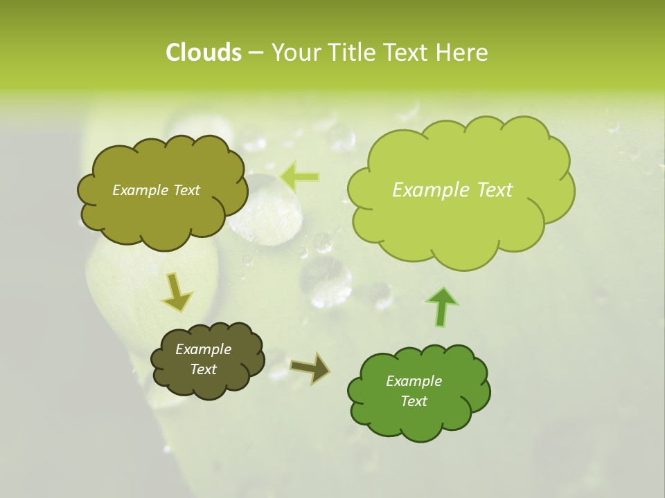 Drops On A Leaf PowerPoint Template