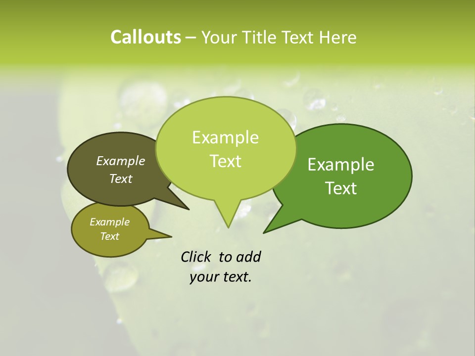 Drops On A Leaf PowerPoint Template