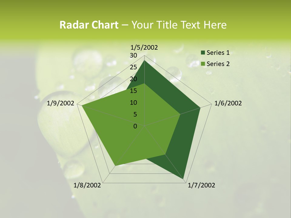 Drops On A Leaf PowerPoint Template