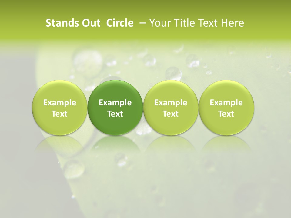 Drops On A Leaf PowerPoint Template