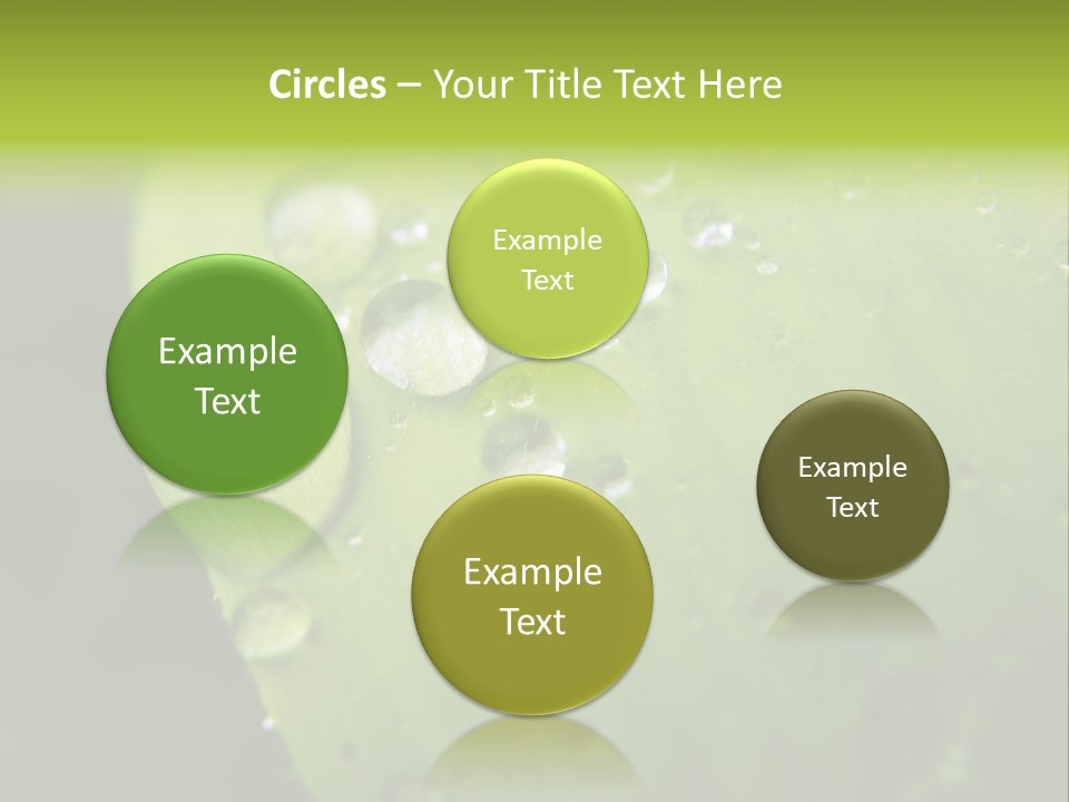 Drops On A Leaf PowerPoint Template