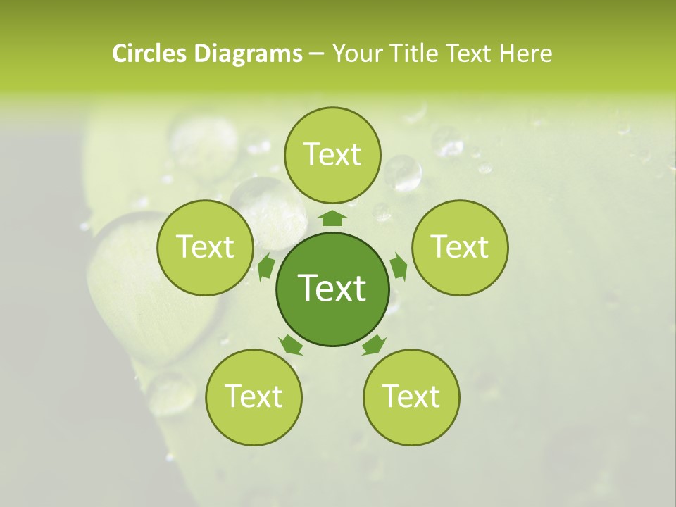 Drops On A Leaf PowerPoint Template