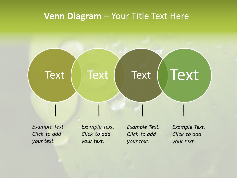 Drops On A Leaf PowerPoint Template