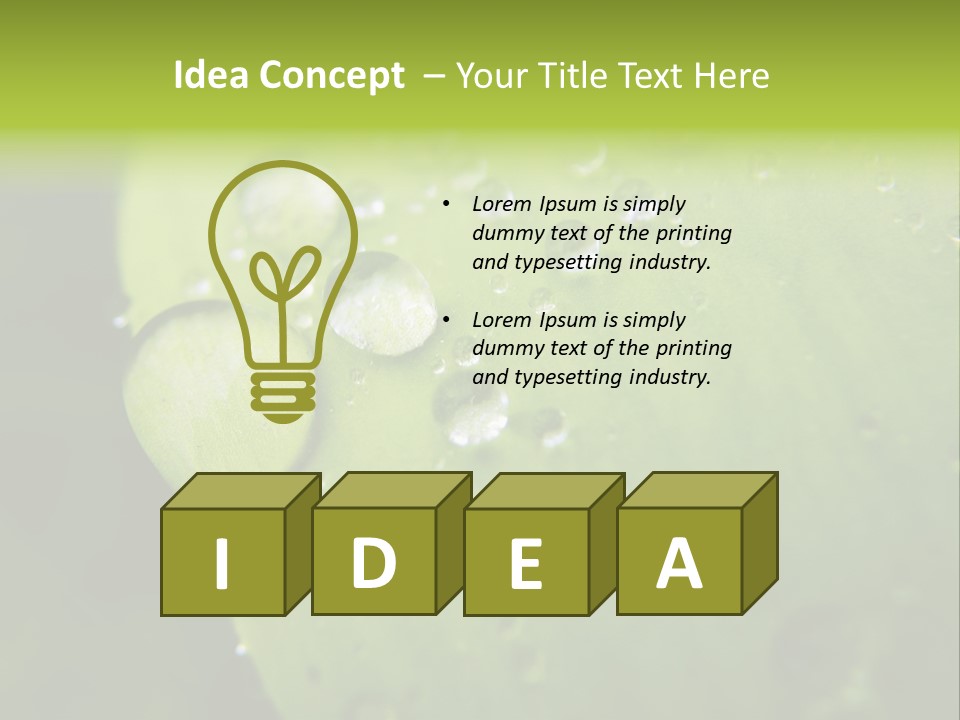 Drops On A Leaf PowerPoint Template