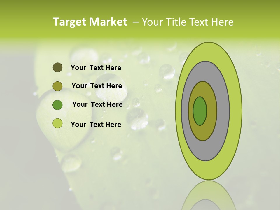 Drops On A Leaf PowerPoint Template