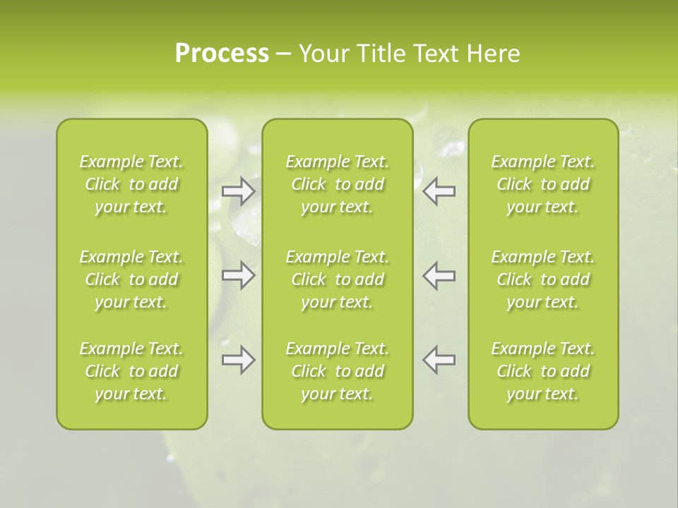 Drops On A Leaf PowerPoint Template