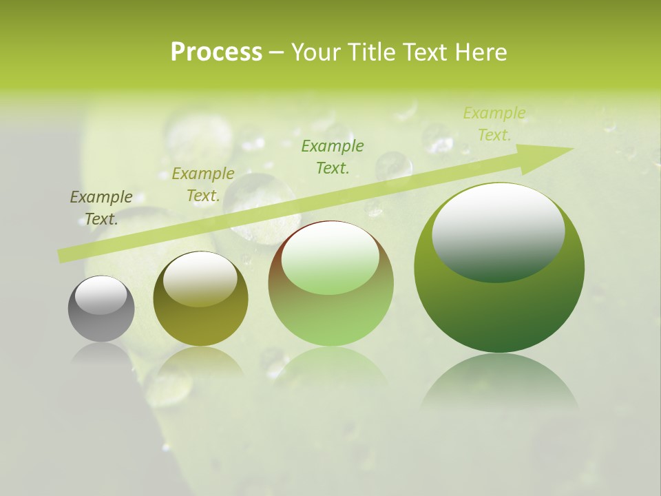 Drops On A Leaf PowerPoint Template