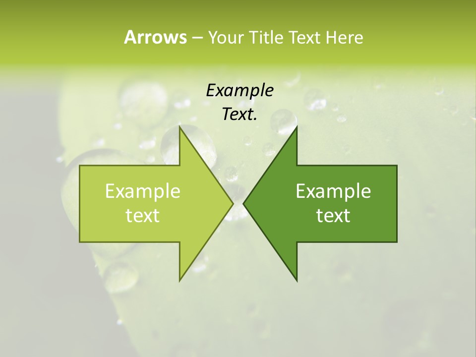 Drops On A Leaf PowerPoint Template