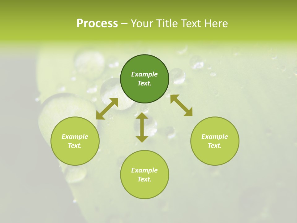 Drops On A Leaf PowerPoint Template