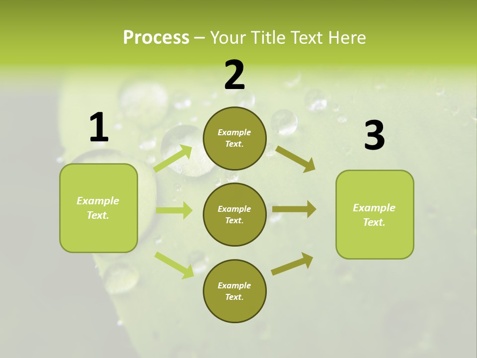 Drops On A Leaf PowerPoint Template