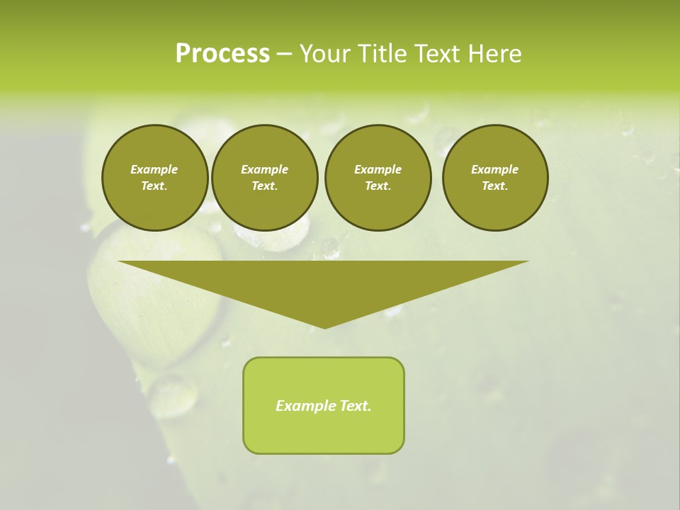 Drops On A Leaf PowerPoint Template