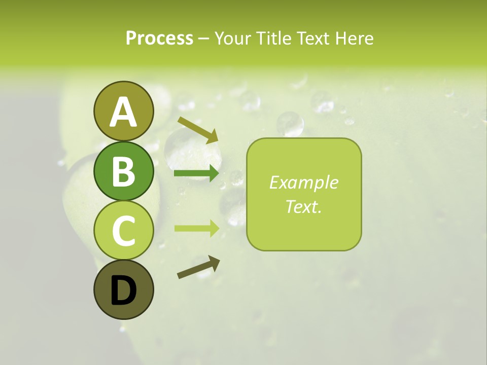 Drops On A Leaf PowerPoint Template