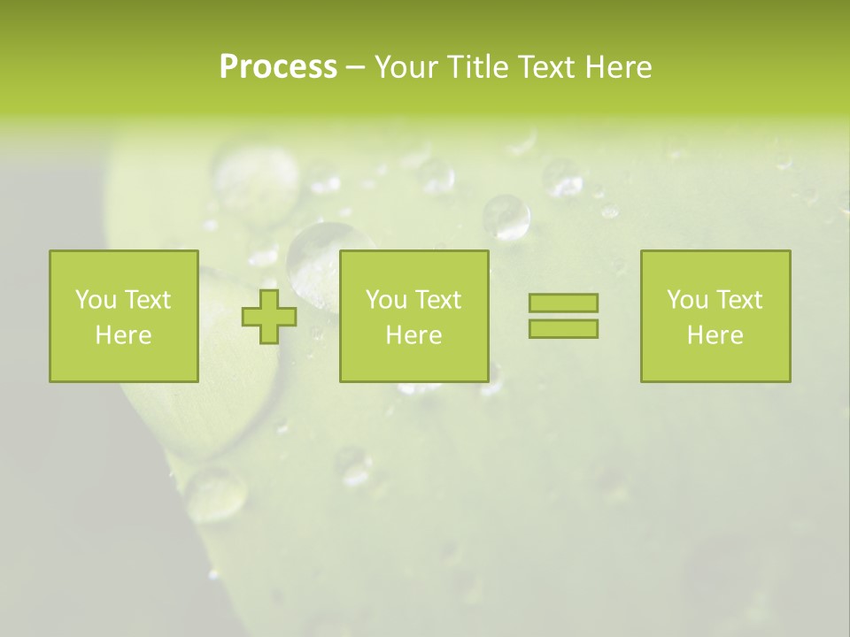 Drops On A Leaf PowerPoint Template