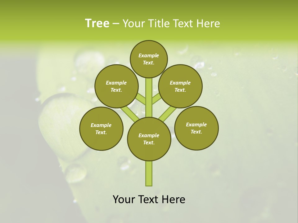 Drops On A Leaf PowerPoint Template