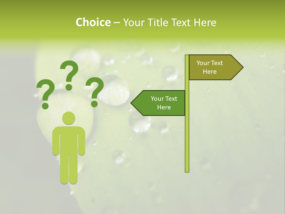 Drops On A Leaf PowerPoint Template