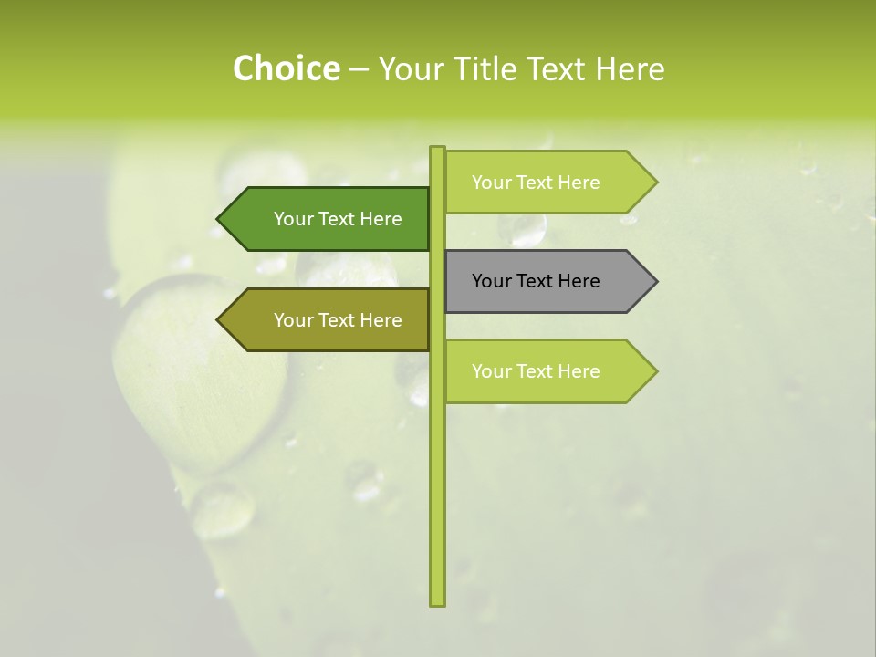 Drops On A Leaf PowerPoint Template
