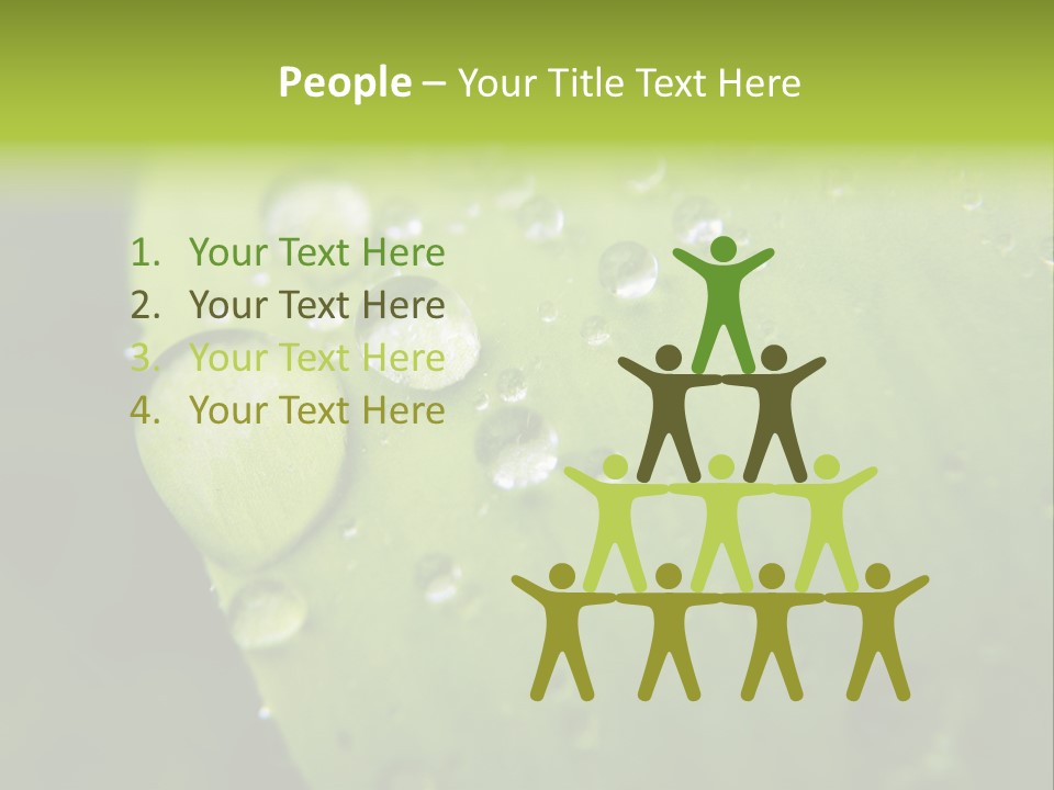 Drops On A Leaf PowerPoint Template