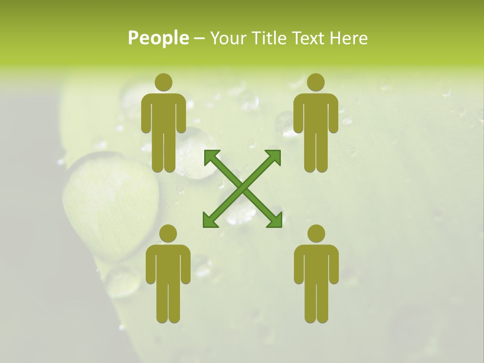 Drops On A Leaf PowerPoint Template