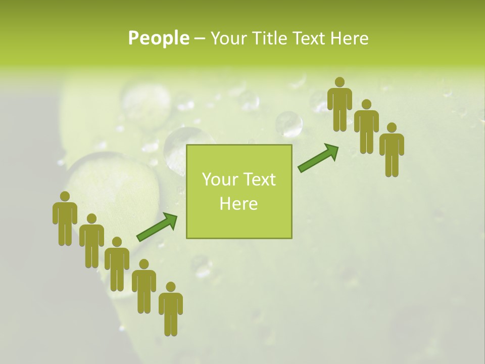 Drops On A Leaf PowerPoint Template