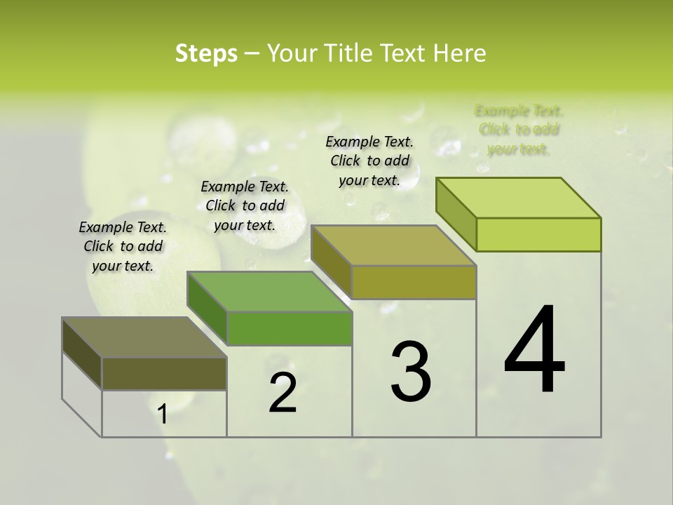 Drops On A Leaf PowerPoint Template