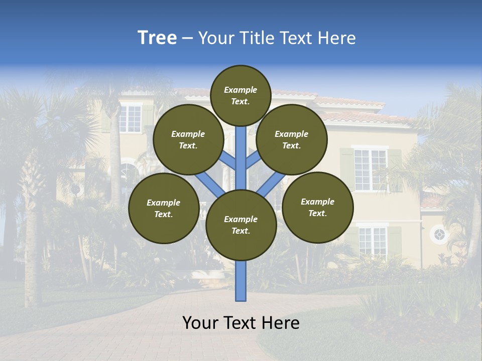 Immense Luxurious Modern Mansion In Central Florida PowerPoint Template