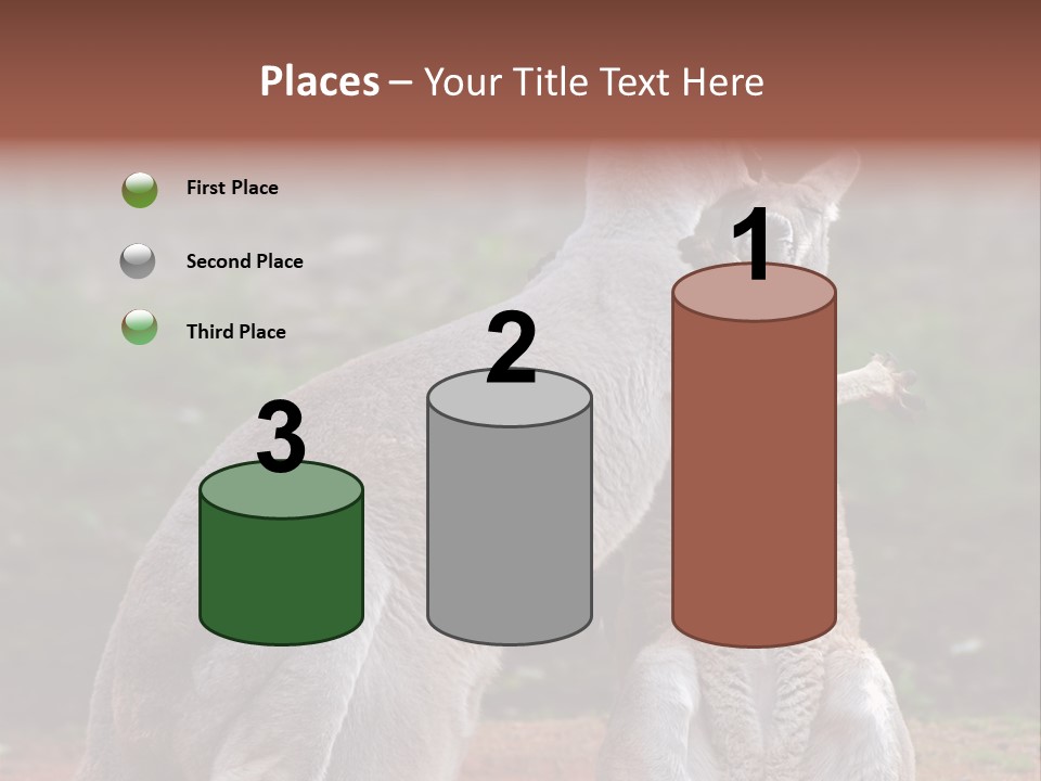 A Kangaroo And A Kangaroo Standing Next To Each Other PowerPoint Template