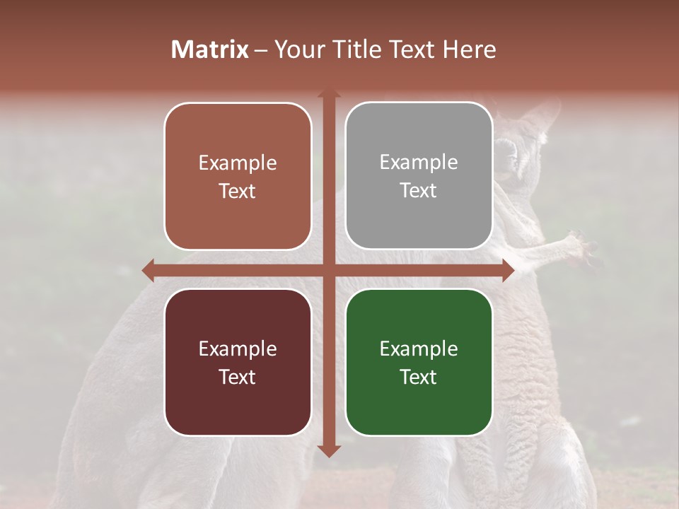 A Kangaroo And A Kangaroo Standing Next To Each Other PowerPoint Template