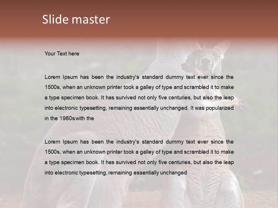 A Kangaroo And A Kangaroo Standing Next To Each Other PowerPoint Template