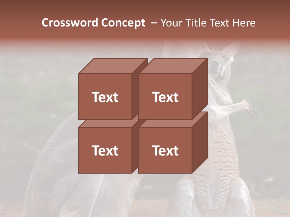 A Kangaroo And A Kangaroo Standing Next To Each Other PowerPoint Template