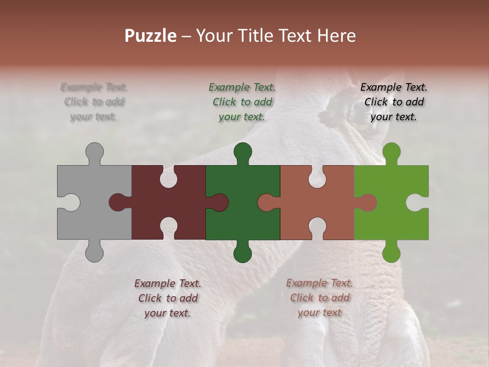 A Kangaroo And A Kangaroo Standing Next To Each Other PowerPoint Template