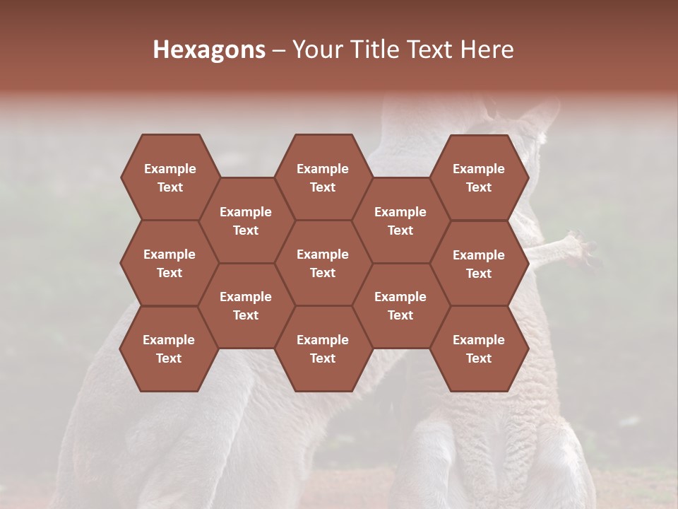 A Kangaroo And A Kangaroo Standing Next To Each Other PowerPoint Template