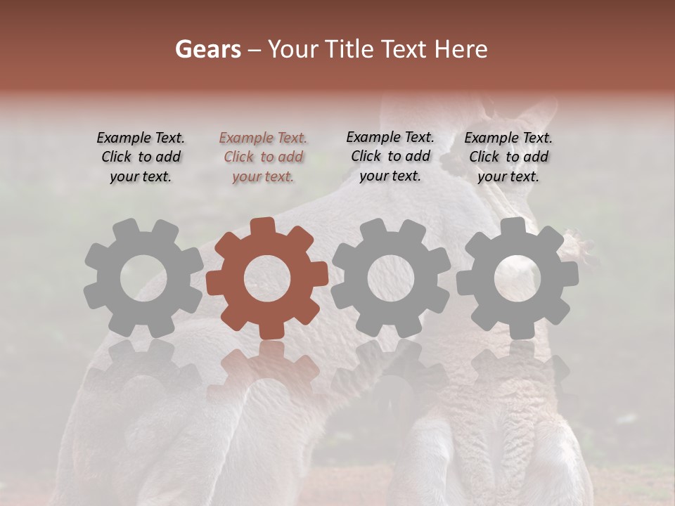 A Kangaroo And A Kangaroo Standing Next To Each Other PowerPoint Template