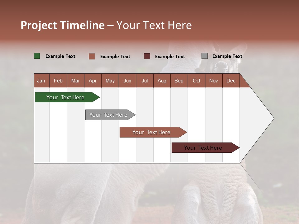 A Kangaroo And A Kangaroo Standing Next To Each Other PowerPoint Template
