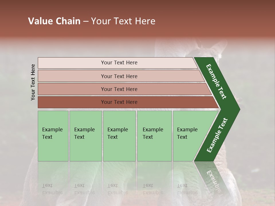 A Kangaroo And A Kangaroo Standing Next To Each Other PowerPoint Template