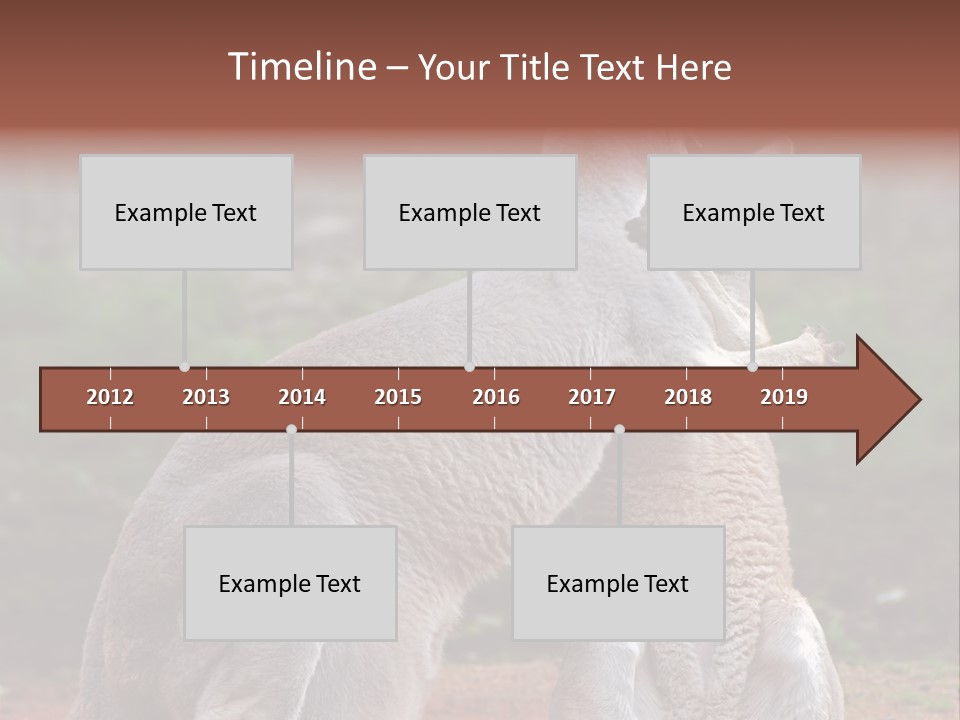 A Kangaroo And A Kangaroo Standing Next To Each Other PowerPoint Template